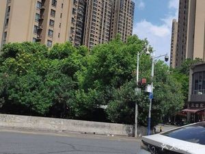 Cai Dang Jia (Shunde Green International Huadu Store)