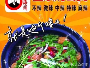 Zou Haikuo Authentic Chicken Stew Pot