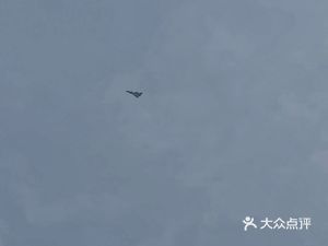 Yang's Snacks (Daqiaodao Store)