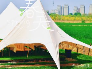Xintian · Autumn Camping · Meetings · Team Building (Riverbank Wheat Field Branch)
