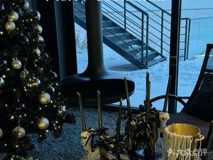 Sloth Cafe · Black Tree Sloth Grill · Black Camp