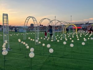 National Beautiful Countryside Market — Music Festival