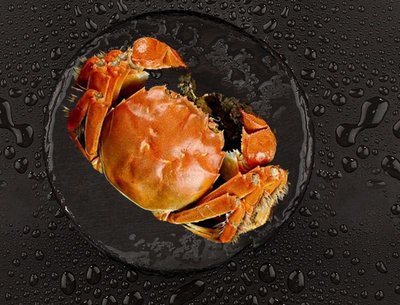 Yangcheng Lake Freshwater Crab (Tucheng Branch)