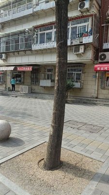 Chen Xiao'er Crepe with Egg (Meihao Li Community Store)