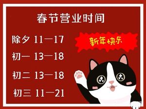 Mao Xiaofu Cat Café