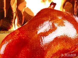 Zhengyang Chun Roast Duck Shop (Chezhan North Road Branch)