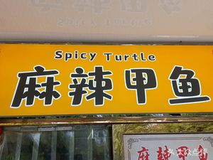 Spicy Softshell Turtle