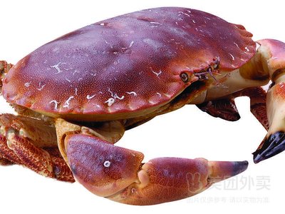 Sun Brothers Seafood Wholesale (Huarongli Store)