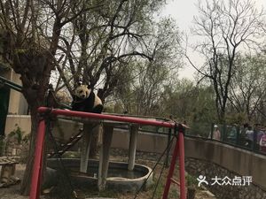 Xi Wei Shi Burger · Fried Chicken · Pizza (Ninghe Branch)