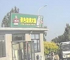 Nocturnal BBQ Hot Pot