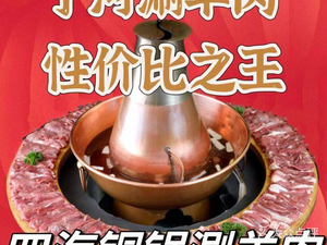 Sihai Copper Pot Hot Pot & Barbecue (Qiaobei Store)