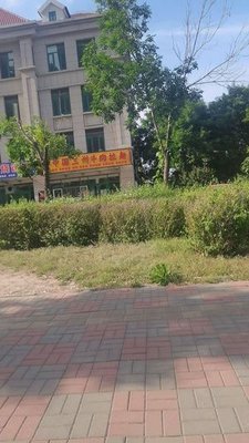 Lanzhou Beef Noodles (China)