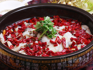 Chongqing Water Boiled Fish & Roast Chicken (Tiyuan Dormitory Branch)