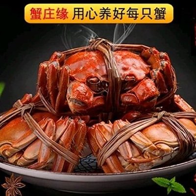 Yangcheng Lake Freshwater Crab (HePing Branch)