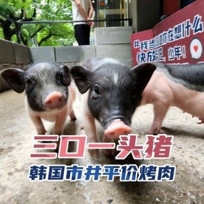 Three Mouths One Pig · Korean Picnic Affordable BBQ (Binjiangdao Pig-Loving Branch)