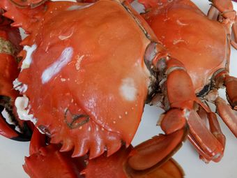 Lixingyuan Restaurant