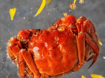 Laigou Seafood Shop (Branch 2)