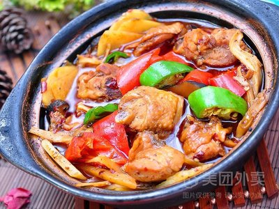 Leyuji Yellow Braised Chicken Rice (Xinzhong Village Store)
