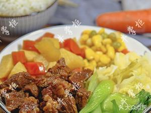 996 Iron Pot Tomato Beef Stew Rice