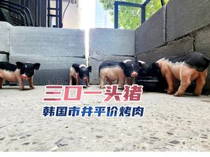 Three Mouths One Pig · Korean Street-Style Affordable BBQ (Fenghe Garden Pig-Loving Store)