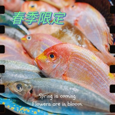 Yi Sheng Yakitori & Izakaya (Development Zone Branch)