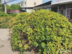 Tianyuan Clay Pot (KaiFa Road Branch)