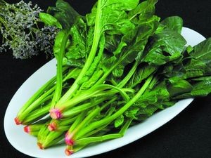 Guiyang Huajiang Dog Meat and Beef Hot Pot Street Food Home Cooking