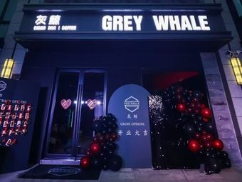 GREY WHALE