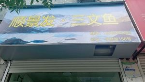 Shunjingfa Salmon (Ninghai Branch)