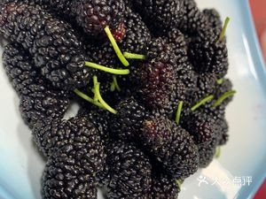 Xinxing Family Banquet