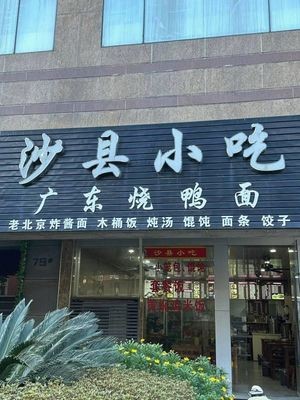 Shaxian Snacks - Guangdong Roast Duck Noodles