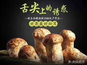 Akita House (Sheraton Branch)