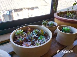 Yang Mingyu Braised Chicken Rice (Xiaying Store)