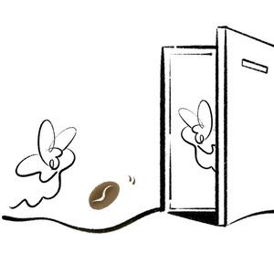 Cafe Sooner or Later