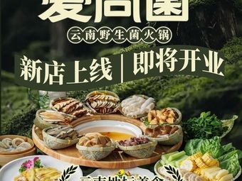 Aishang Jun · Wild Mushroom Hot Pot King (Ningbo Wanda Plaza Branch)