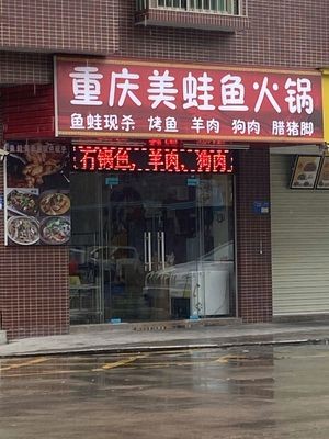 Chongqing Giant Salamander Fish Hotpot (Wenming Road Branch)