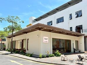 WN Coffee (No Brain Coffee Company)