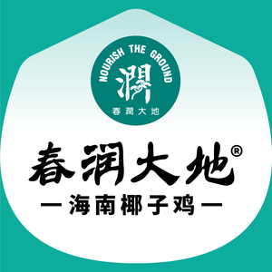 Chunrun Dadi Hainan Coconut Chicken (Humen Pedestrian Street Store)