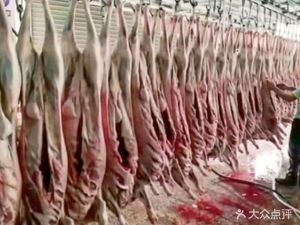 Yang Xian Feng Lamb Skewers (Yijia Garden Branch)