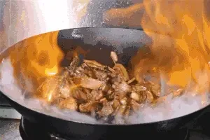 Shunde Flaming Goose (Chang'an Branch)