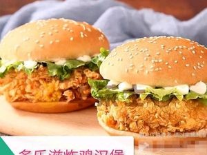 Dolezi · Fried Chicken & Burgers (Yuanjiang Yuan Branch)