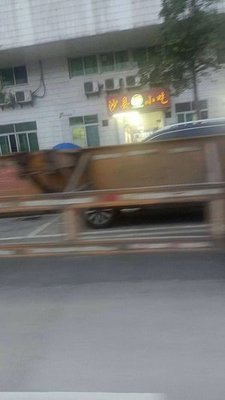 Sha County Snacks (Dongtai Building Branch)