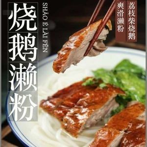 Bingrong Lychee Wood Roasted Goose (Yonghuating Store)