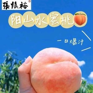 Zhang Shenyu Wuxi Fermented Crab (Nanxi Tang Store)