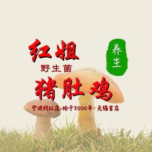 Hongjie Health Pork Belly Chicken · Wild Mushroom Hot Pot