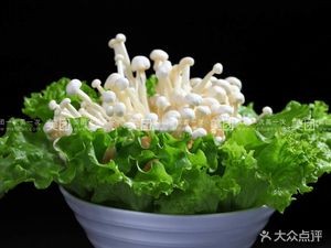 1977 BBQ (Nanzha Branch)