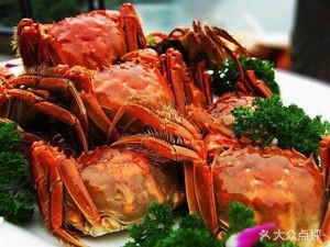 Yangcheng Lake Crab