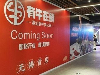 You Niu Zai Xian · Fresh Chao Shan Beef Hot Pot (Yueshang Aolai Branch)