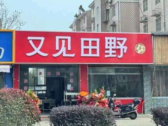 Once Again in the Fields