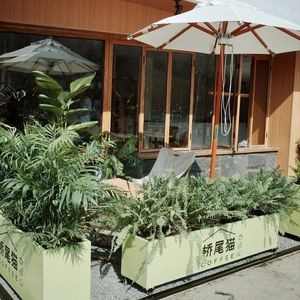 Qiaowei Mao COFFEE · Cat-Themed Coffee & Dining (New District RT-Mart Branch)